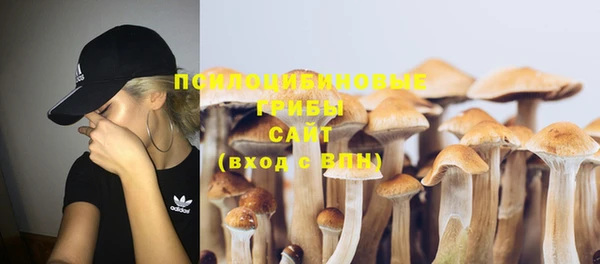 дмт Белоозёрский