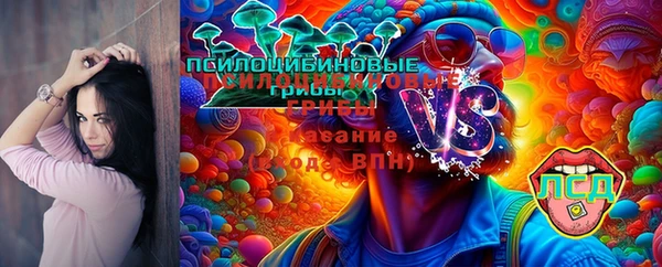 дмт Белоозёрский
