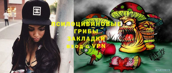 mdpv Белокуриха